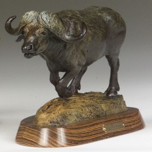 "Cape Buffalo" by Rick Taylor